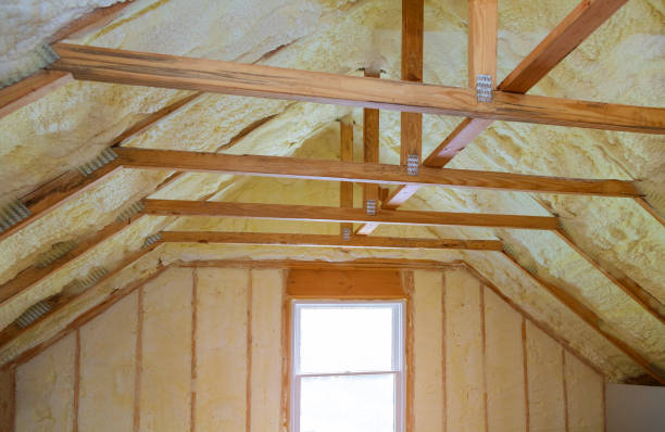 Best Insulation Removal  in Fair Lawn, NJ